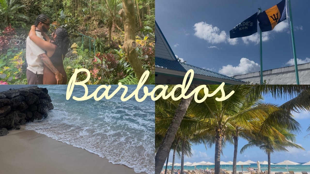 Barbados Vlog