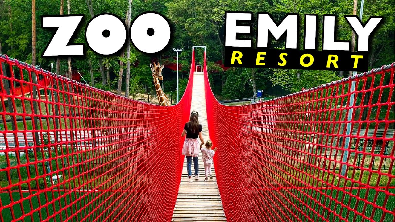 EMILY RESORT ZOO | НОВИЙ ЗООПАРК У ЛЬВОВІ | МОТУЗКОВИЙ ПАРК | ЛАМА | ГАЙЛЕНД | ВЕРБЛЮД | VLOG
