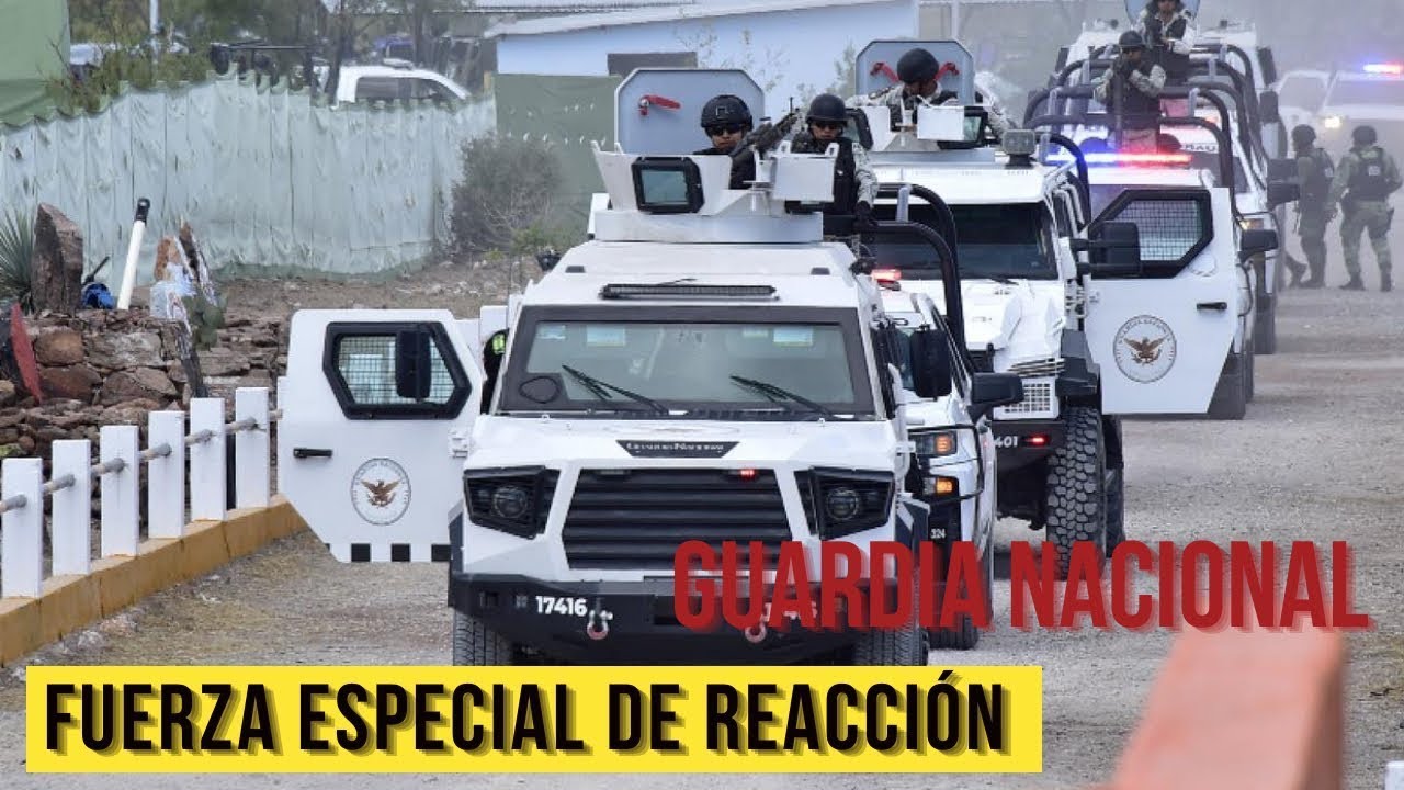 Fuerza Especial de Reacción e Intervención de la Guardia Nacional