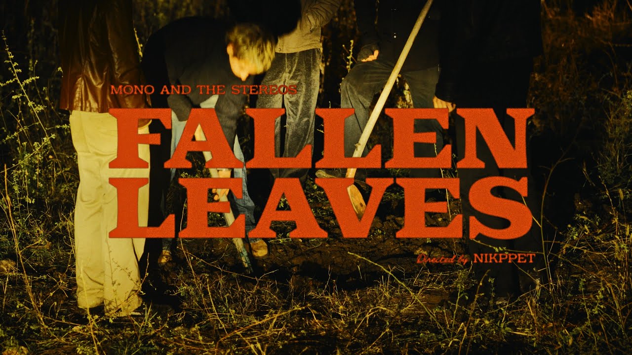 Mono and the Stereos - Fallen Leaves (Official Music Video)