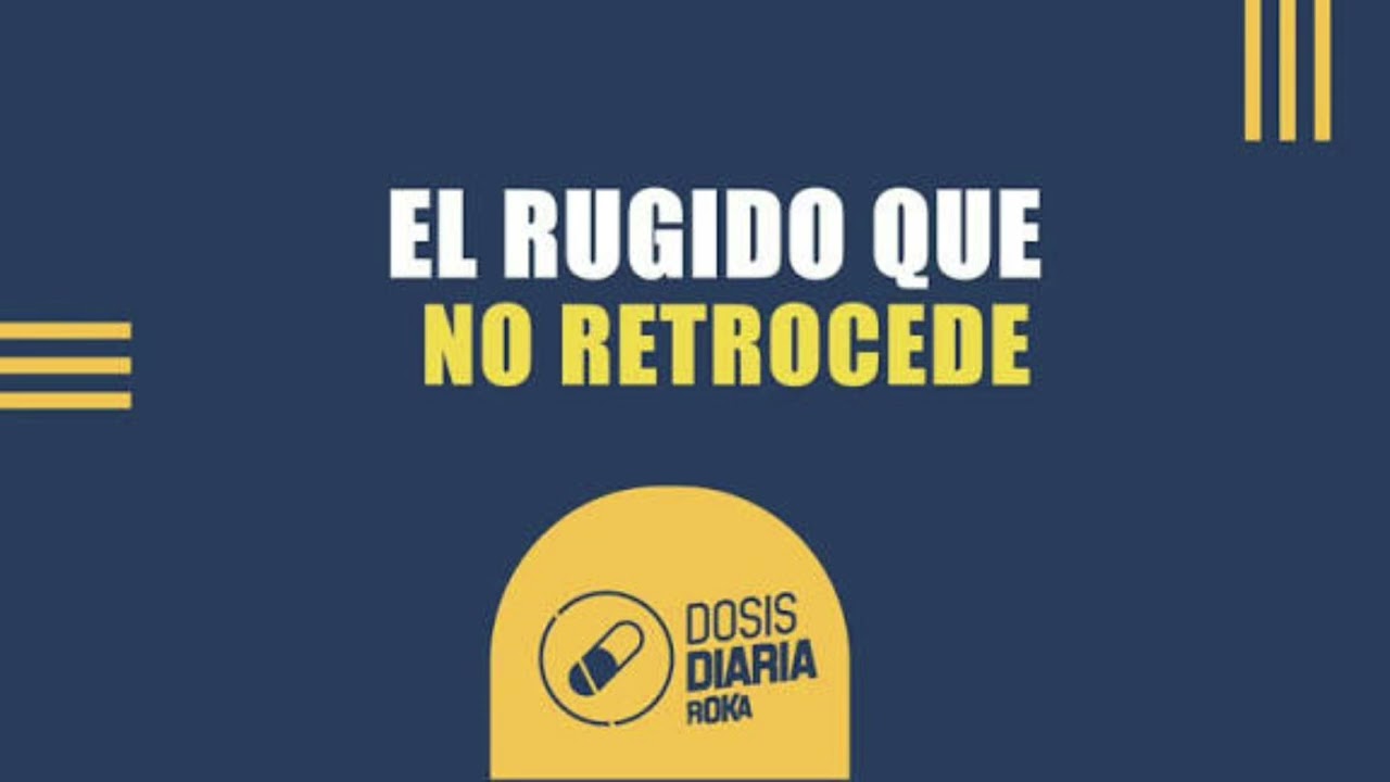 El Rugido que no retrocede - dosis diaria - roka 