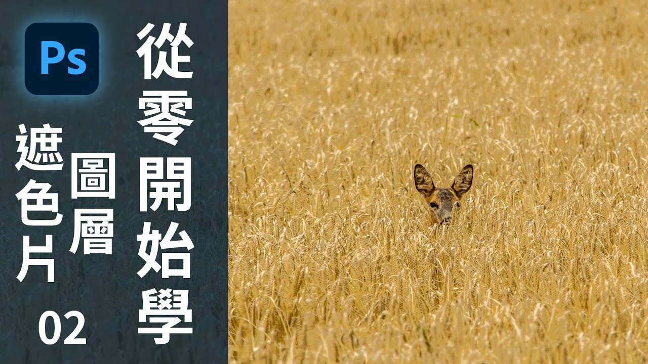 【從零開始學Photoshop】圖層及遮色片｜02