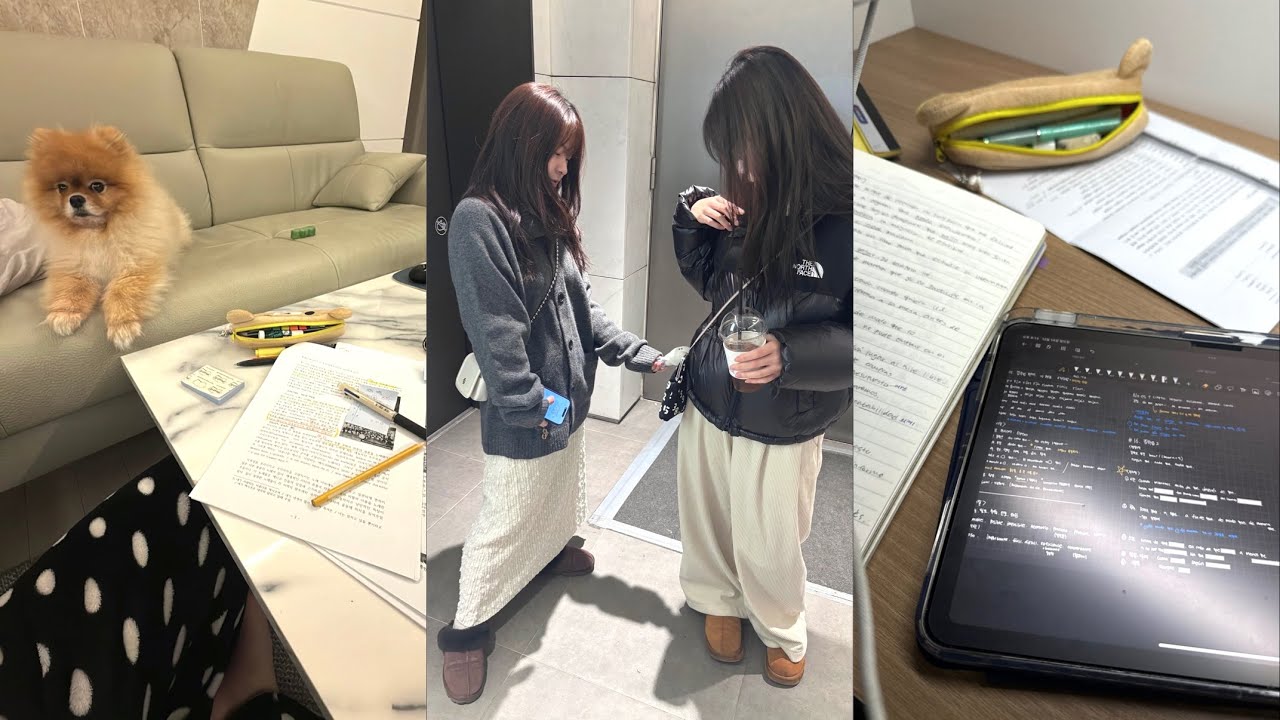 대학생 Vlog | 시험기간 최최최종 브이로그🧐📝 ⋆ 공부하고먹고공부하고먹고먹고먹고…🐖⋆ 나의사랑하이디라오🥜🥥