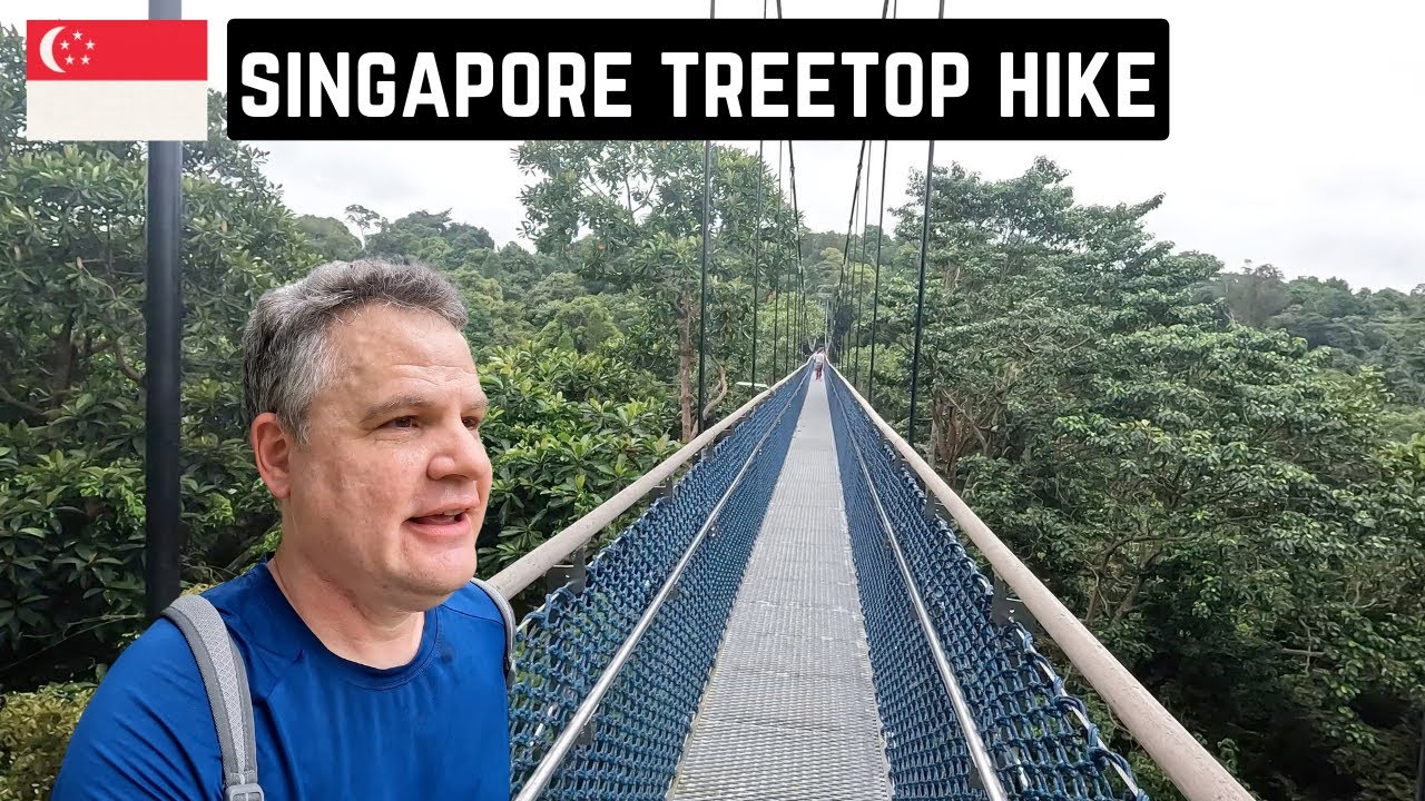 Singapore's Most Beautiful Nature Walk Will Amaze You