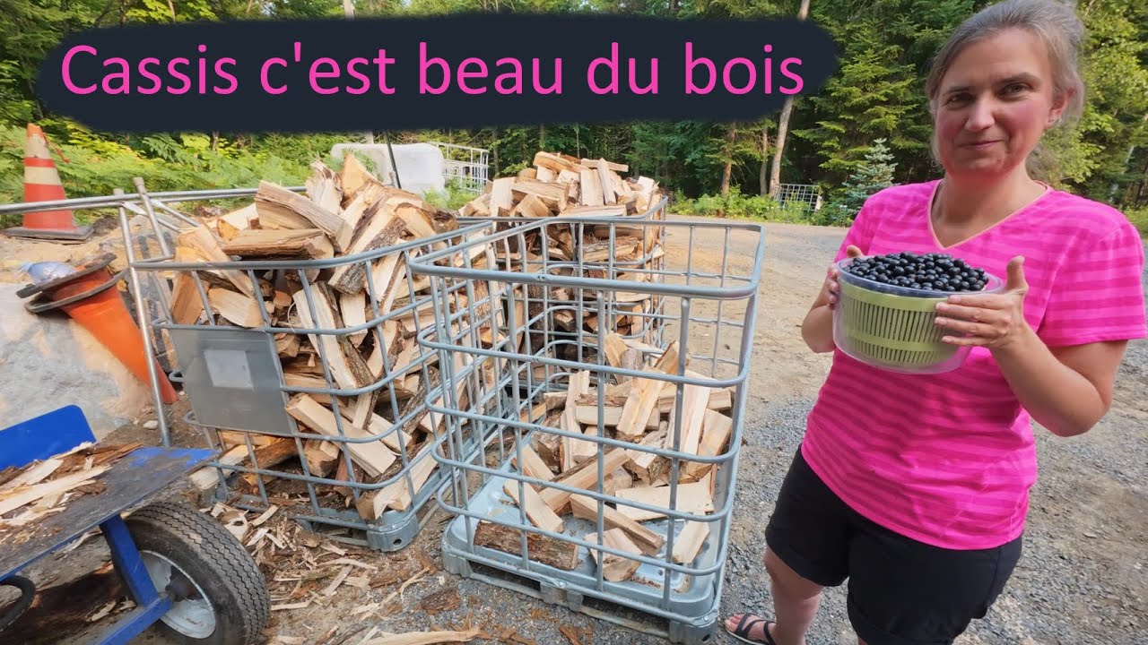 157-Transport du Alstor et fendre un peu de bois
