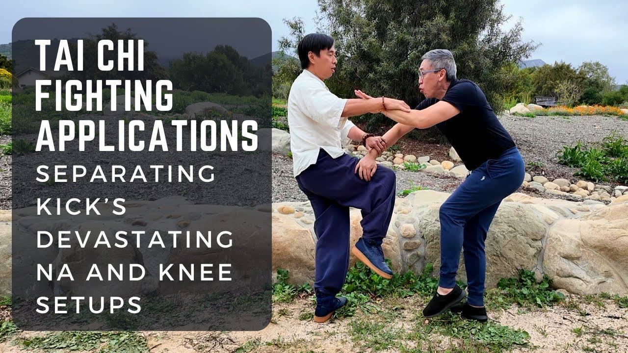 Tai Chi Fighting Application: Separating Kick's Devastating Na and Knee Setup