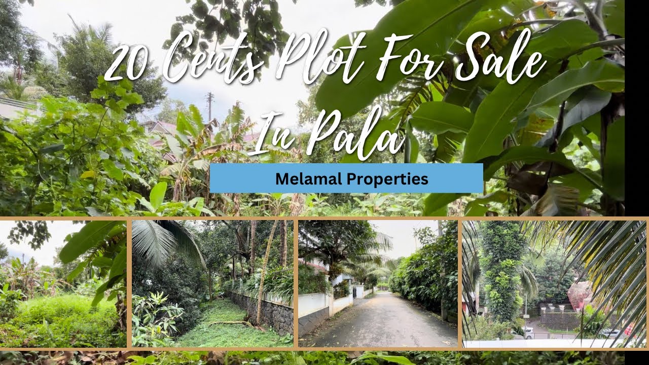 20 Cents Land For Sale In Pala Municipality 