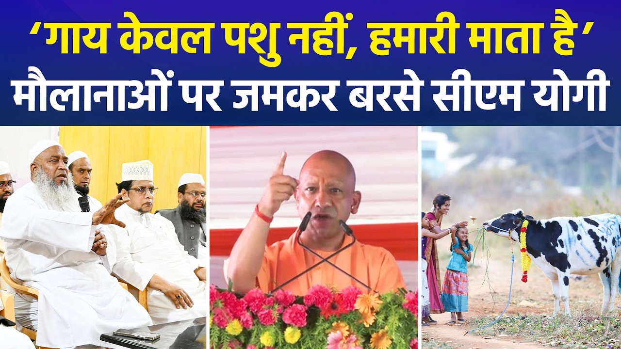 Yogi Adityanath Responds to Debate on Declaring Cow as National Animal