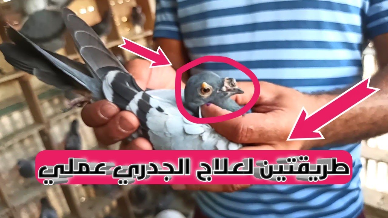شرح عملي طريقتين للتخلص من حبوب الجدري بأقل تمن