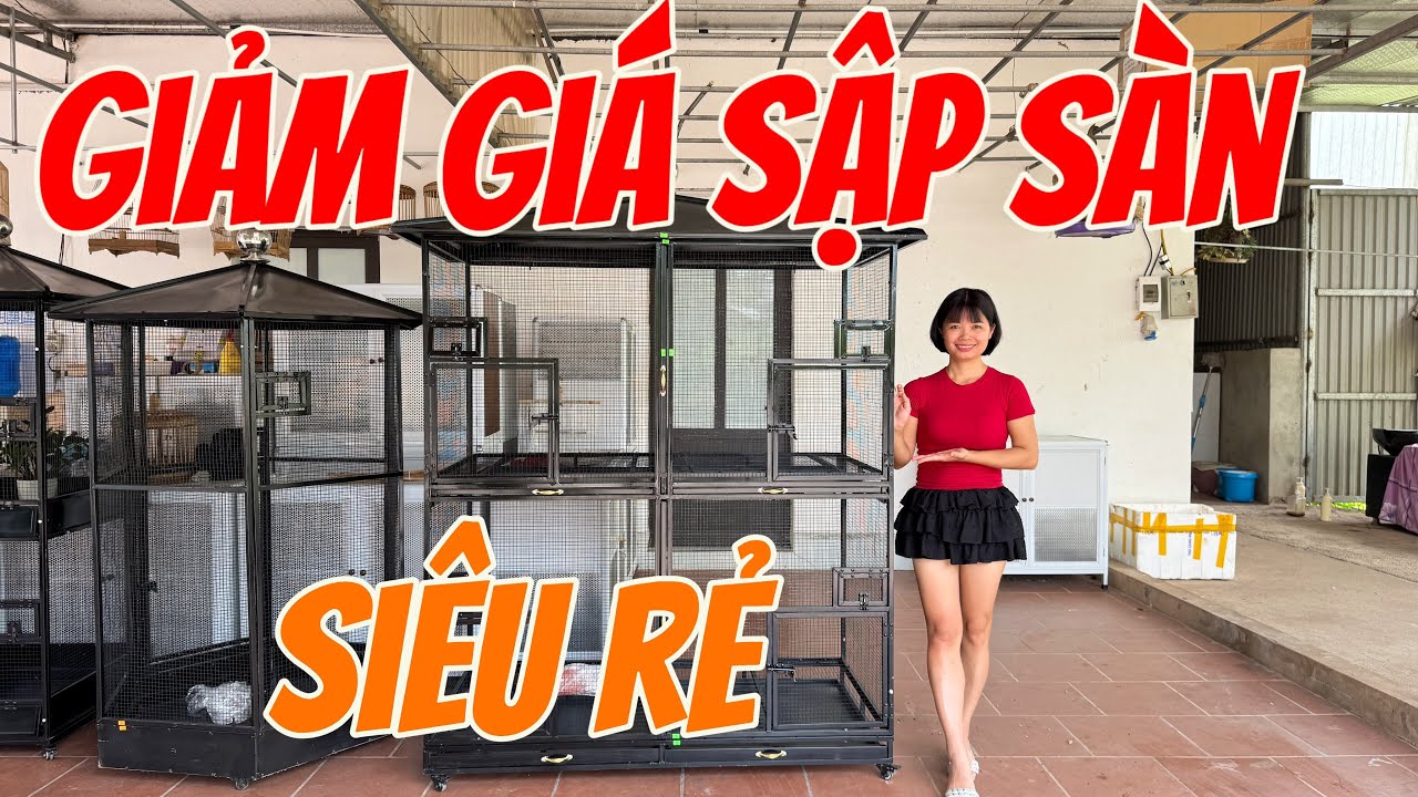 Giảm giá sập sàn cho mẫu avi siêu đẹp siêu rộng , thoáng mát