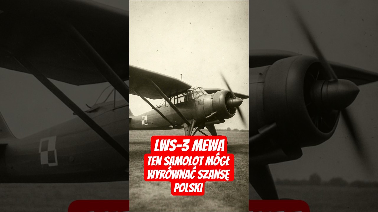 LWS-3 Mewa - ten samolot m&oacute;gł wyr&oacute;wnać szanse Polski w 1939 roku #lws3 #mewa #samolot #wojna #IIWŚ
