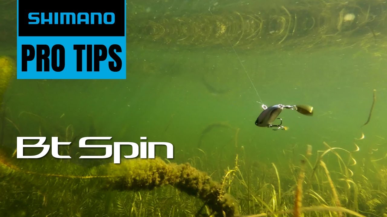 How to Fish the Shimano BT SPIN | Shimano Pro Tips