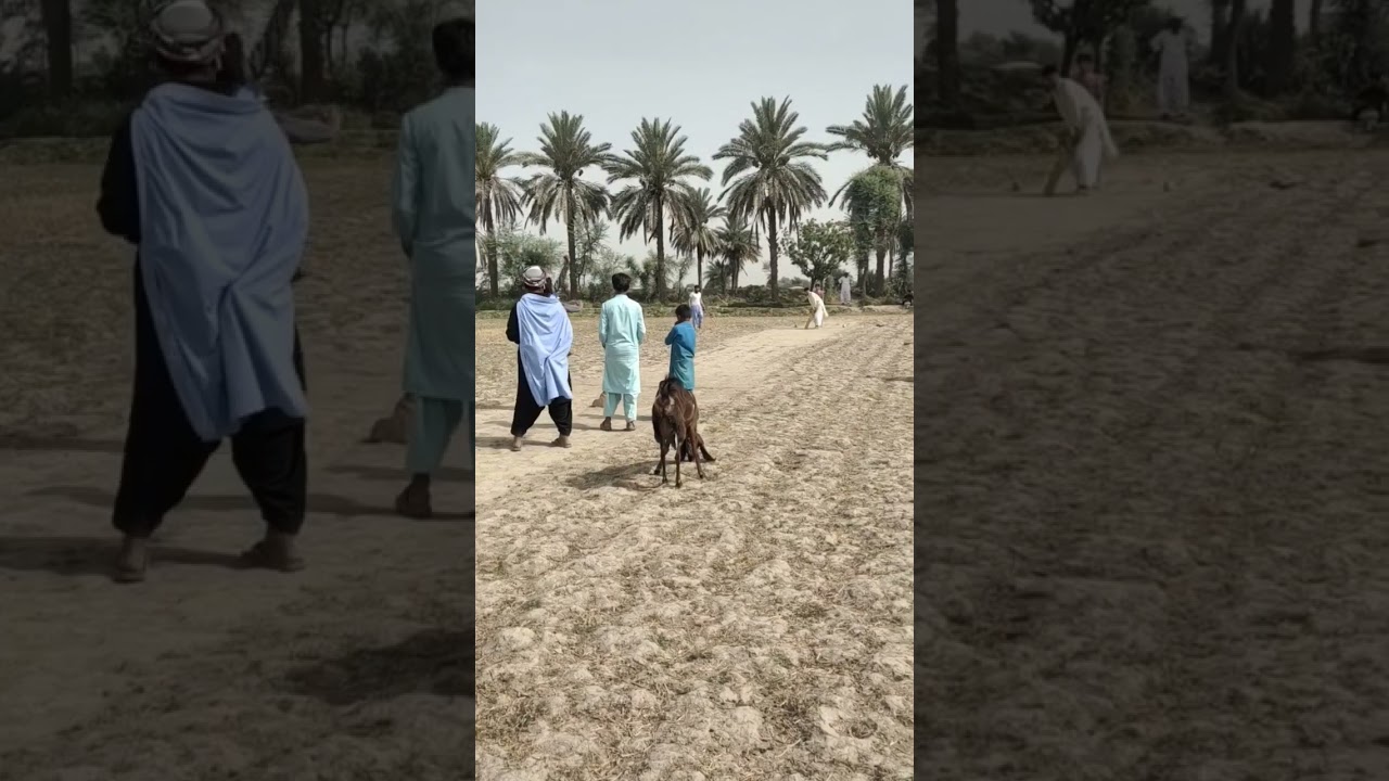 #sindh #pakistan #village #villagevlog