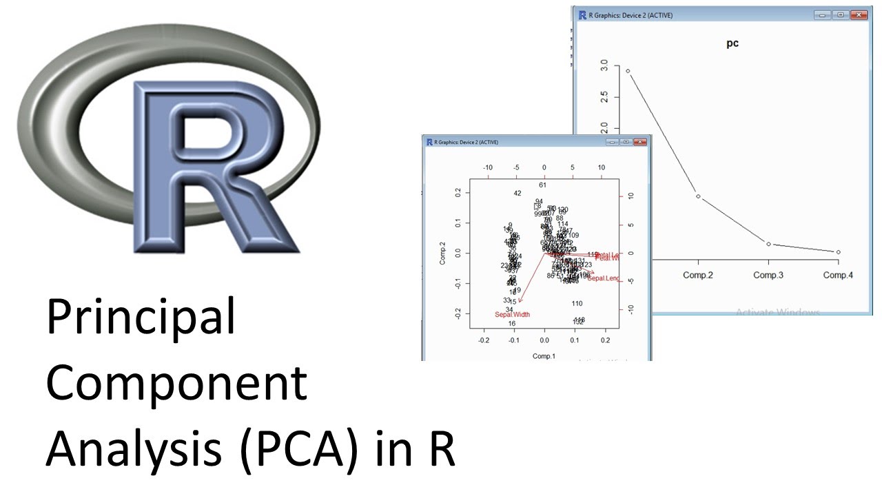 Principal Component Analysis (PCA) in R