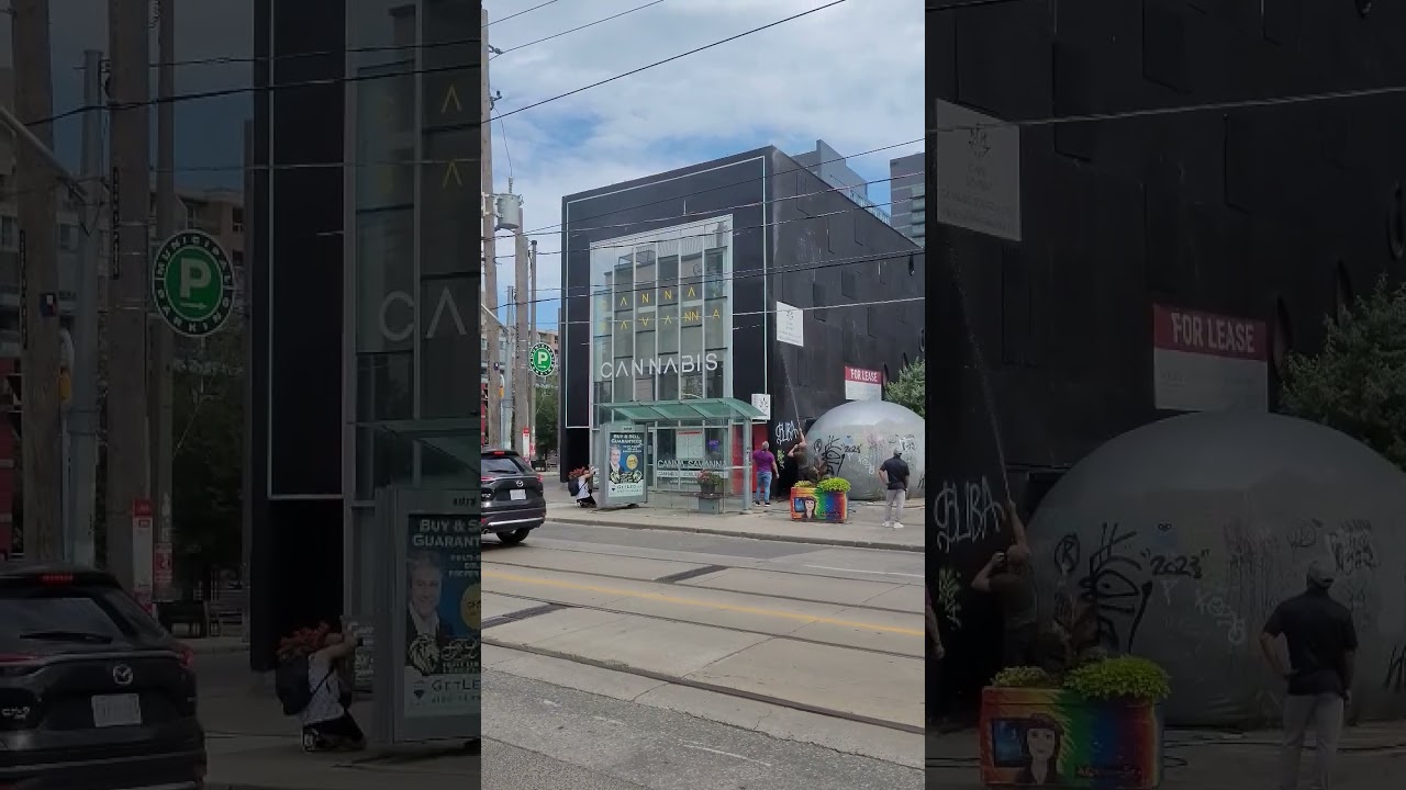 Smoke coming from Toronto Cannabis Store #shortsfeed #shorts #shortsfeed #pot #cannabisdaily