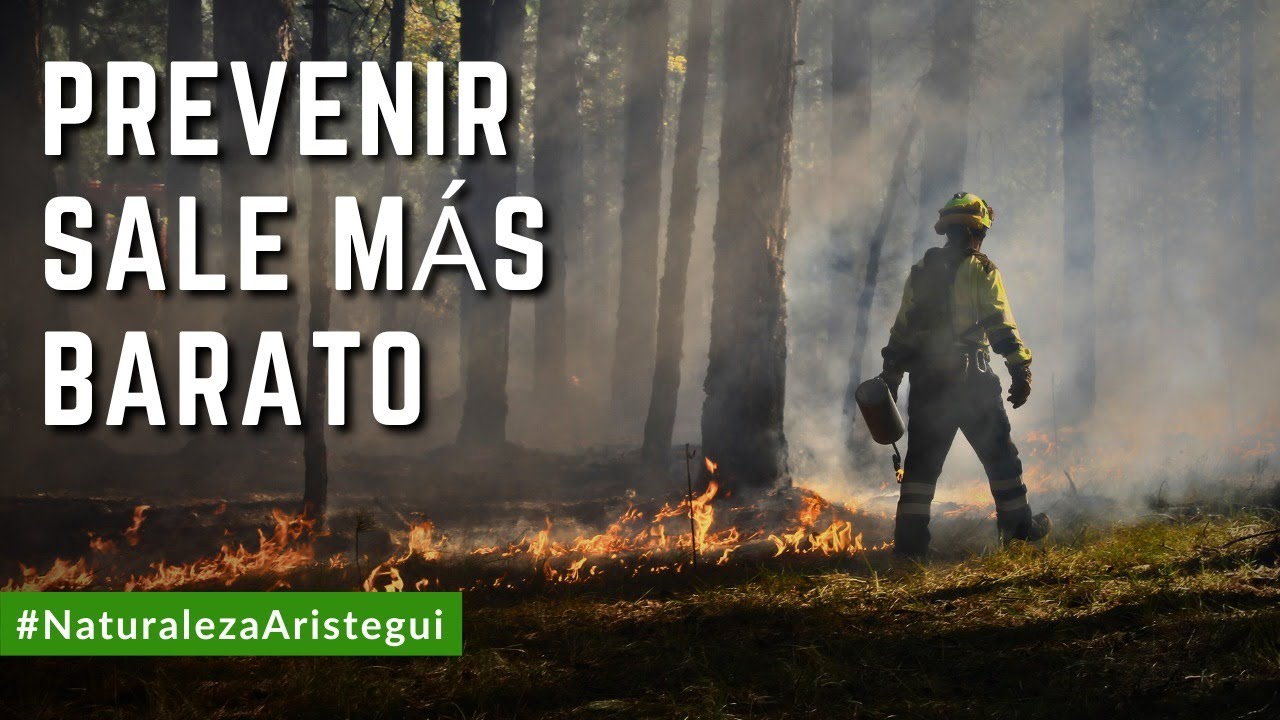 Prevenir incendios forestales en México cuesta menos que combatirlos | Ernesto Herrera
