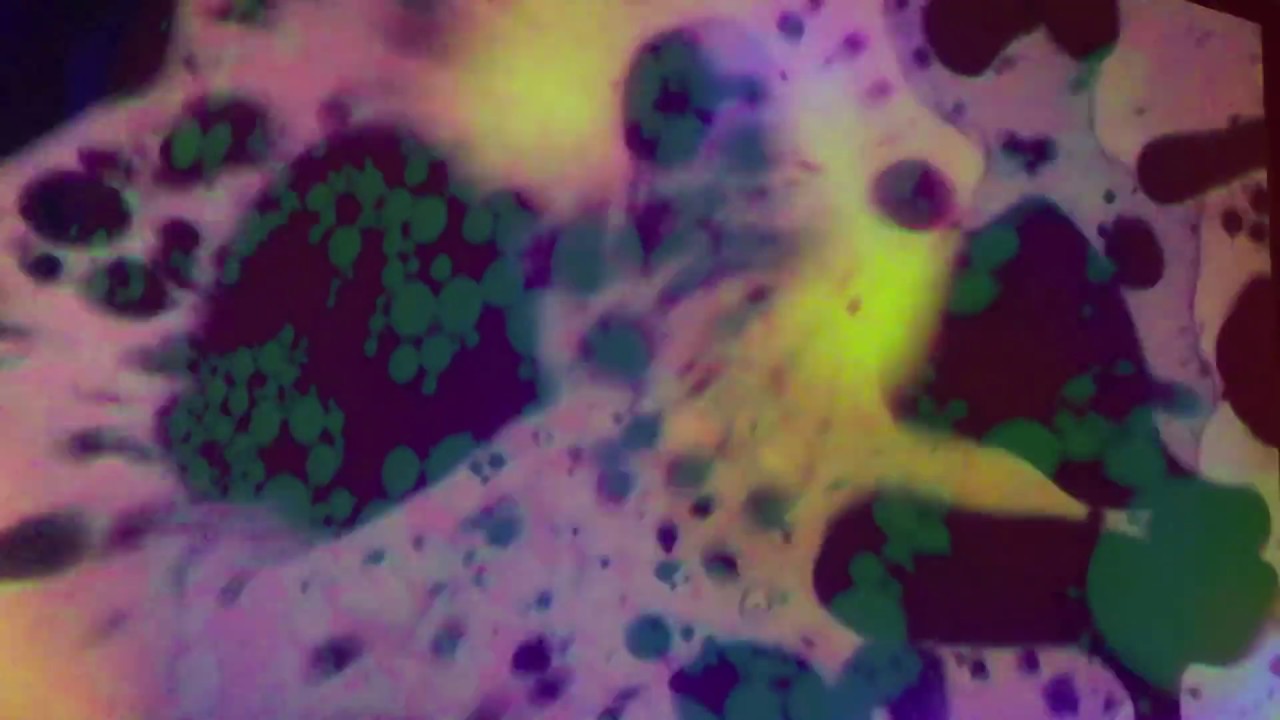 King Gizzard & The Lizard Wizard - The Bitter Boogie (w/ Liquid light show) HD