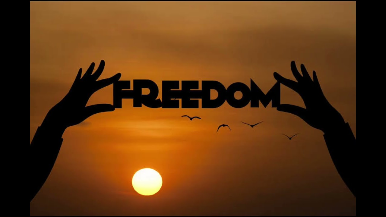 Freedom (Video Advocacy)