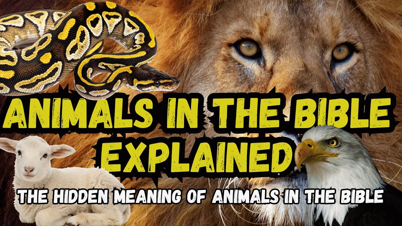 Biblical Beasts Explained | The Hidden Meaning of Animals in the Bible
