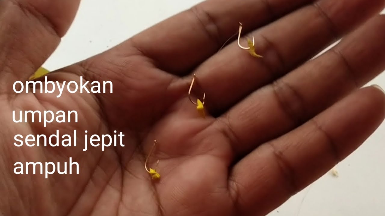 RANGKAIAN PANCING OMBYOKAN UMPAN SENDAL JEPIT DI JAMIN AMPUH ,.PERTAMA DAN BELUM ADA