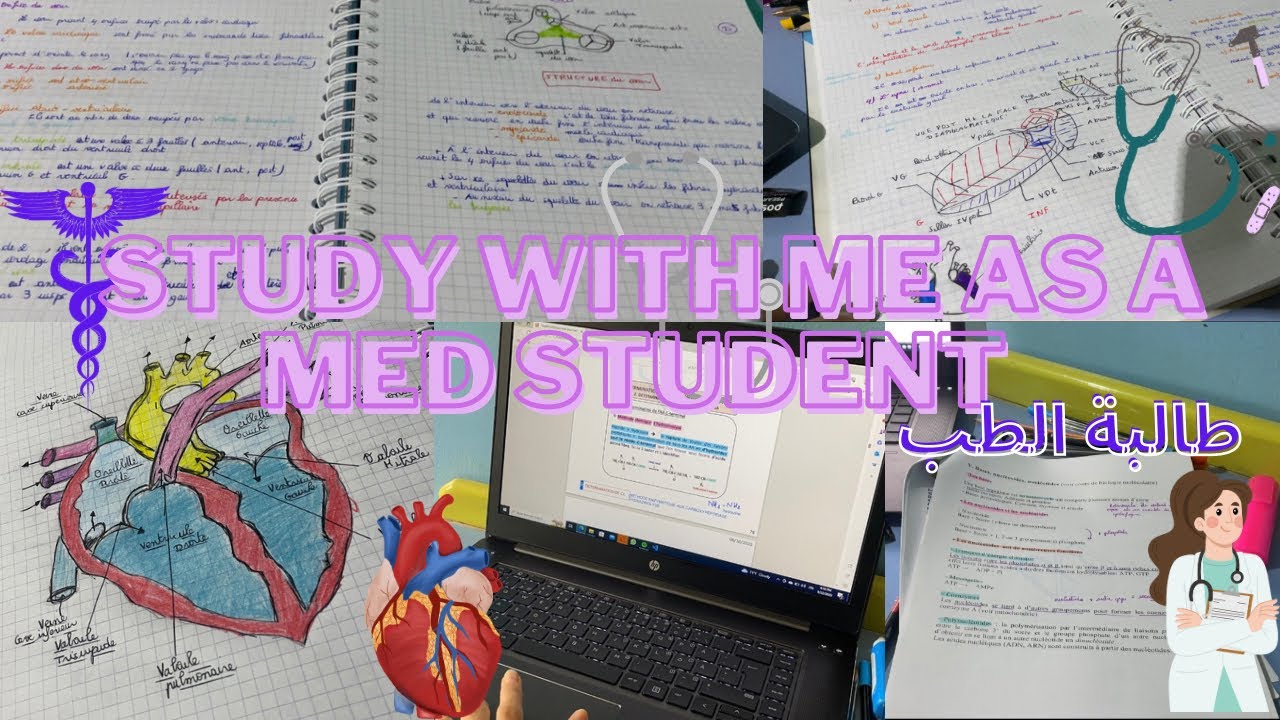 STUDY WITH ME AS A MED STUDENT قراو معيا كطالبة الطب 🩺👩‍⚕️ (fmpr)