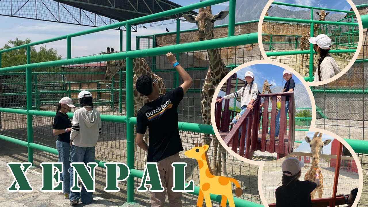 Bienvenidos a XENPAL 🦒 Zoológico/Xafari. 24/Marzo/2024