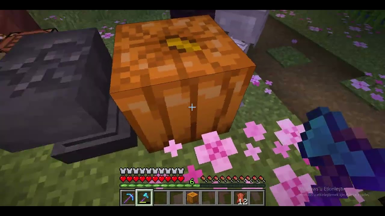 minecraft sezon2 bolum8 (bıraz fazla sıkıcı)
