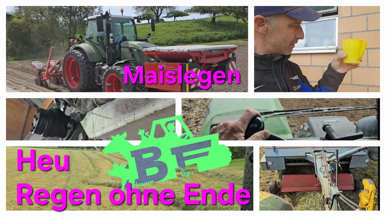Langes Heu. Langes Video. Langes Regenwetter