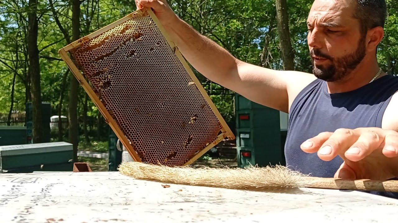 Ennyi akácmézet hord egy méhcsalád. II. Mézelvétel szöktető használata után.