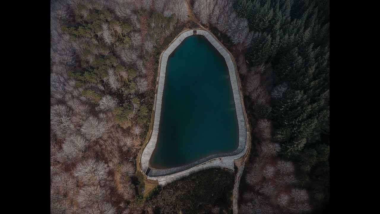 MAMMOLA