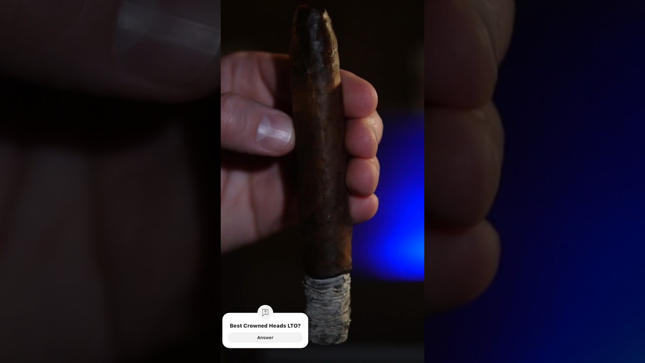 Crowned Heads Yellow Rose 