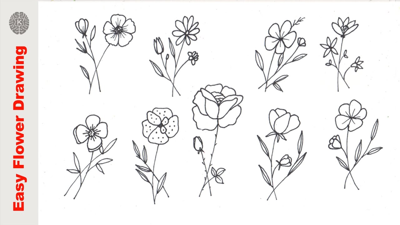 How to draw flower  step by step very easy Different flowers drawing  Draw step by step