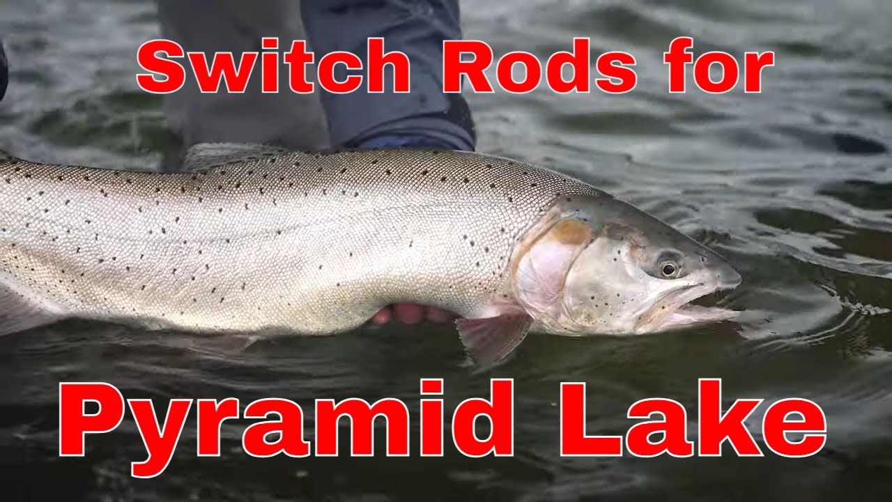 Switch Rods for Pyramid Lake