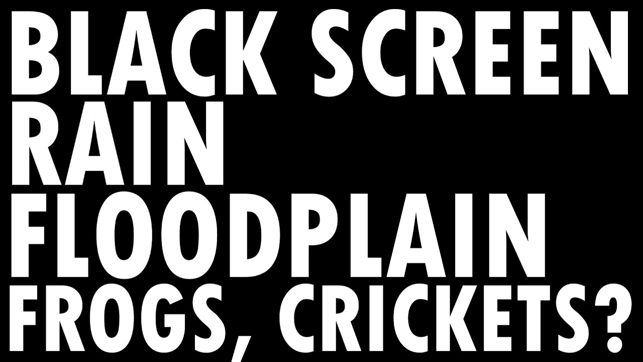 black screen frogs and crickets? on floodplain with some rain