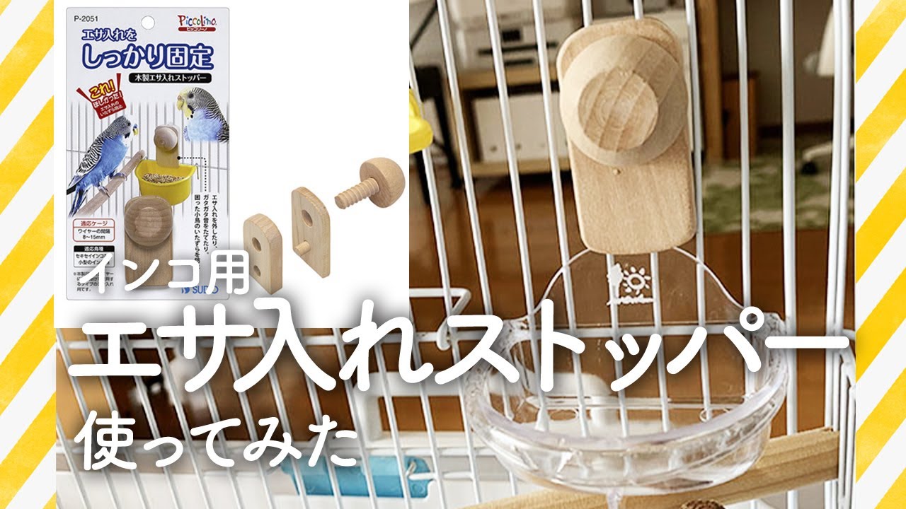 【買ってよかった】インコのエサ入れストッパー　エサ入れガタガタ&ごはんぶちまけ対策！
