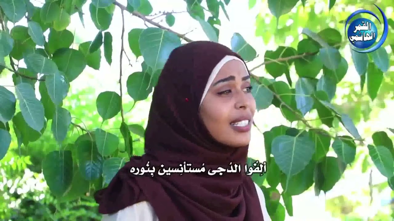 ياجاهلا فرقة الانوار