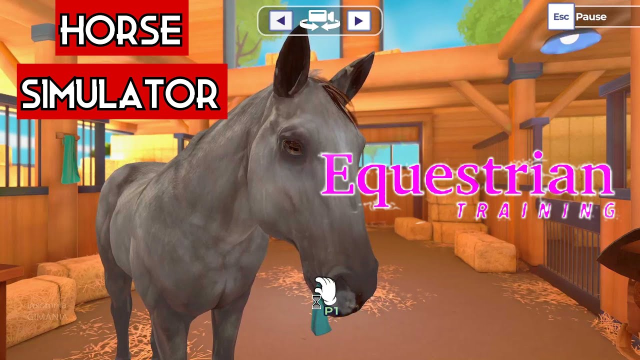 Equestrian Training | PC Gameplay
