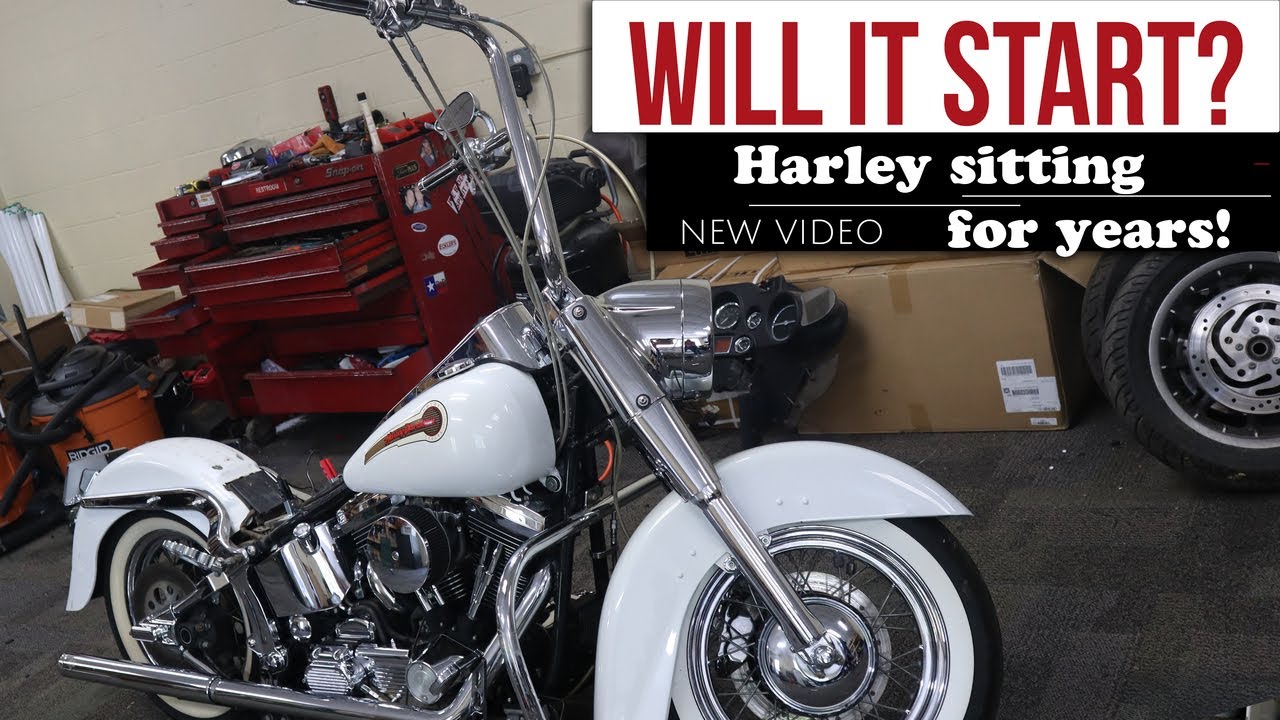 Will It Start?! This Harley has Been Sitting for Years! | Budget Rebuilds
