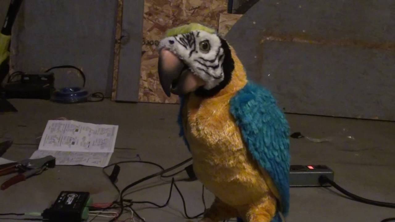 Halloween Pirate Parrot - Squawkers McCaw Controller Hack
