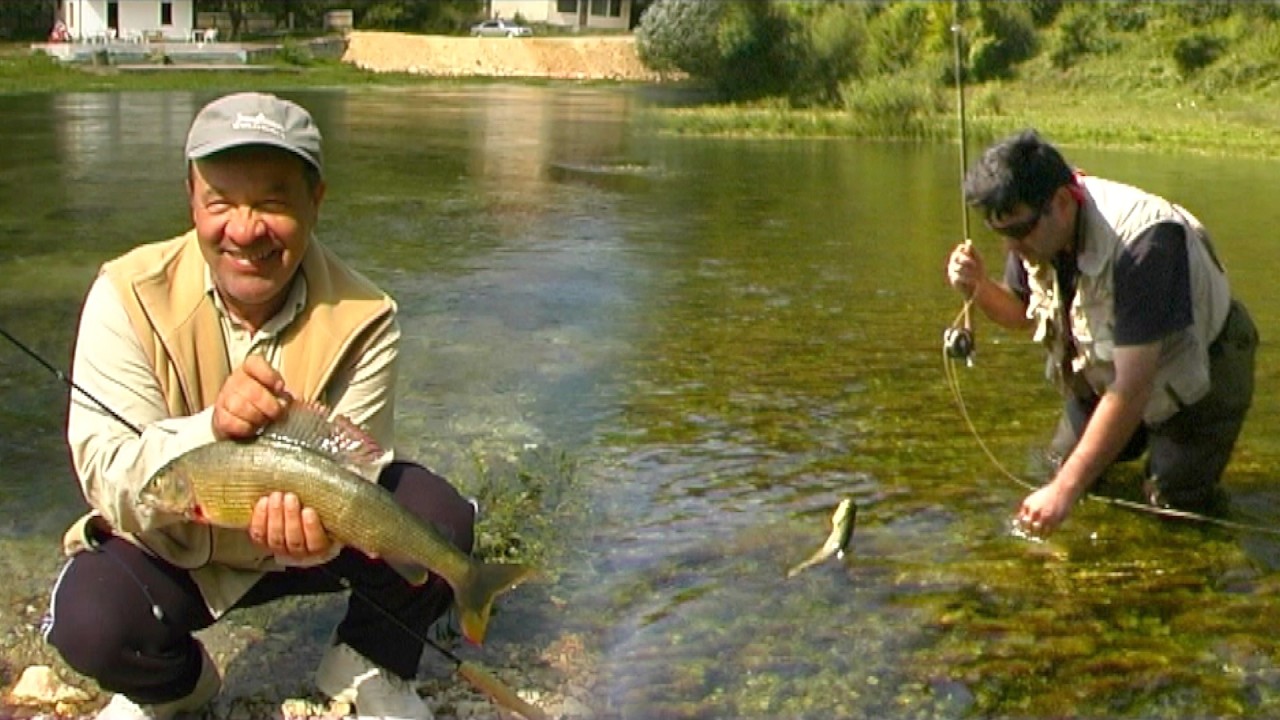 Pecanje pastrmke i lipljana reka Pliva BiH - Mušičarenje | Fishing brown trout