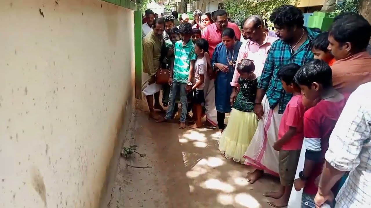 🙏മണ്ണാറശാല ശ്രീനാഗരാജാ ക്ഷേത്രത്തിൽ കണ്ട അപൂർവ നാഗ ദൃശ്യം/ rare Naga sight seen at Mannarasala Templ