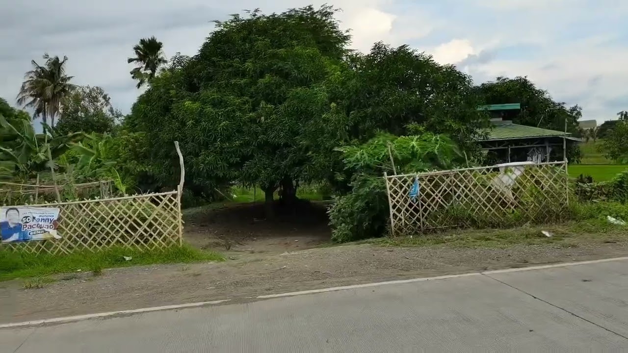 4.2 Hectares Lot Farm For Sale