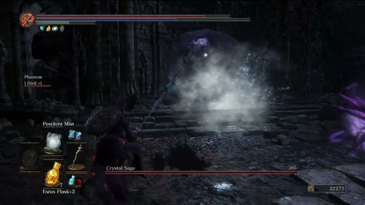 DS3 Ascended crystal sage has pet lizards?