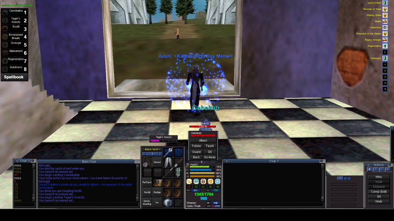 P99 Iksar Shaman: 34 to 40 - North Karana Guard Smack Down!