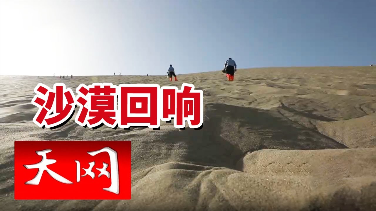 《天网》沙漠“掘金”者！鸣沙山民警年捞上百部手机 风沙秒吞 他们却能从茫茫沙海找回你的“宝贝”！ 20250801