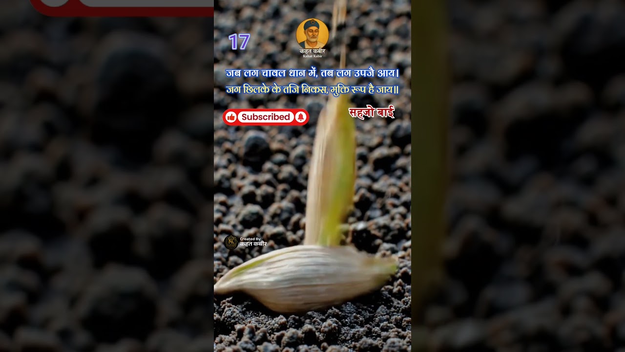 जब लग चावल धान में | Sehjo Bai Doha Meaning | By Kahat Kabir #sehjobaibhajan #santvani #nirgunbhakti