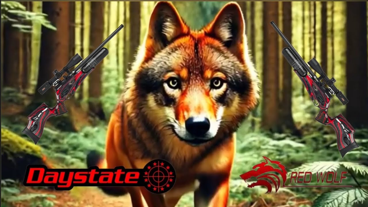 Daystate Red Wolf 