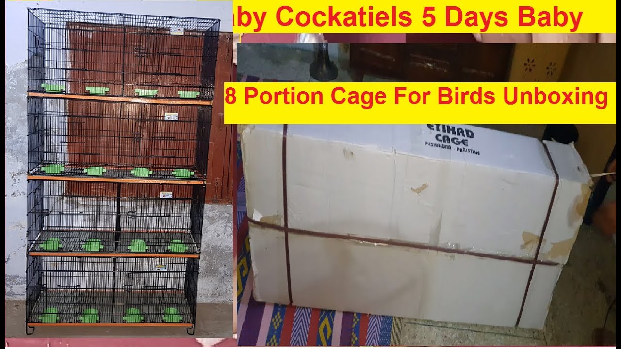 8 Portion Cage For Birds Unboxing l Etihad Cages