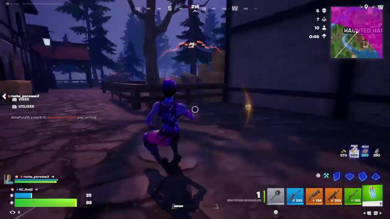 VENEZ PETIT FORTNITE