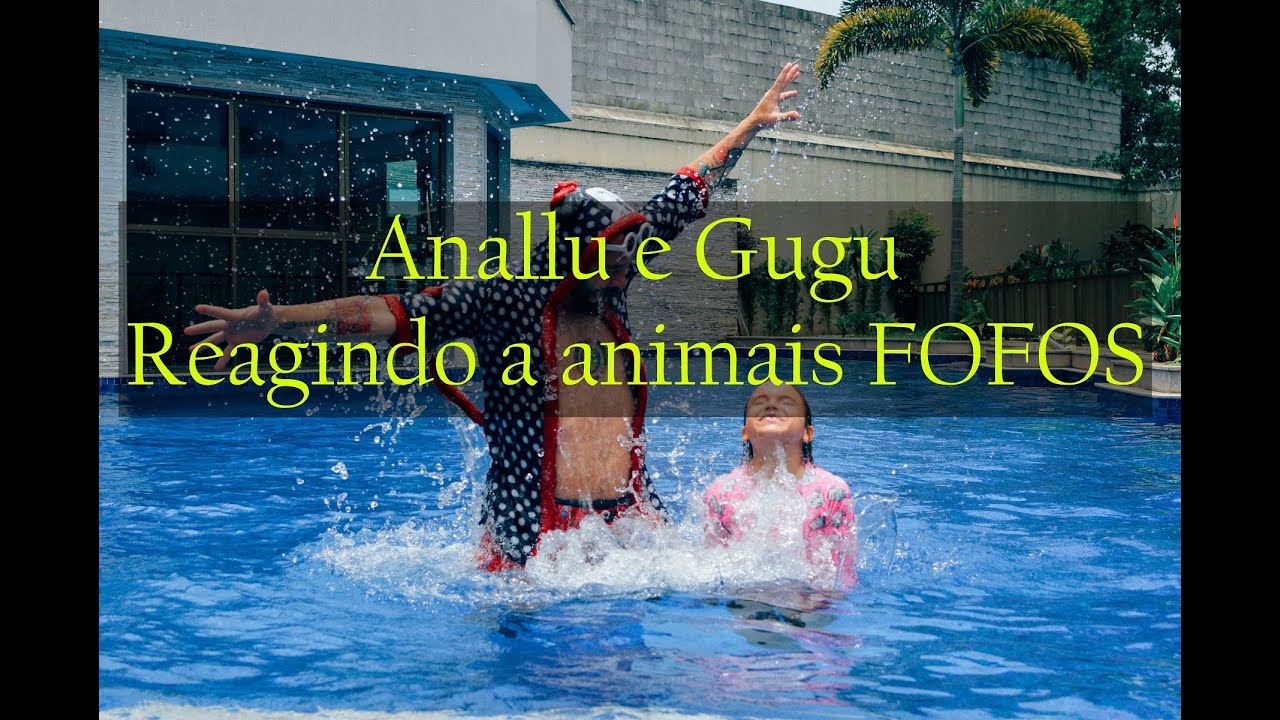 Gugu e Anallu reagindo a animais fofos